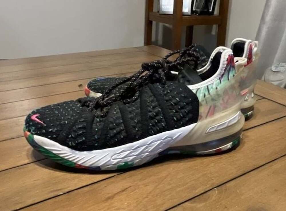 Nike LeBron 18 James Gang Multicolor Basketball Shoes